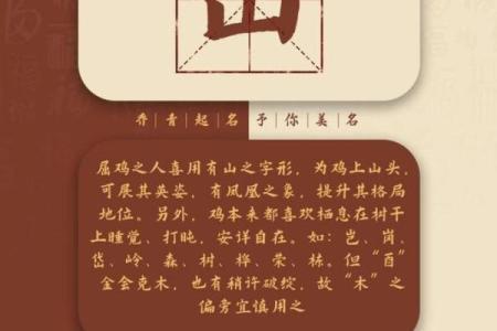如何为你的鸡宝宝取一个既可爱又有意义的名字