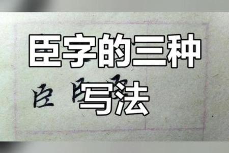 如何为公司取名选择含有臣字的创意方案