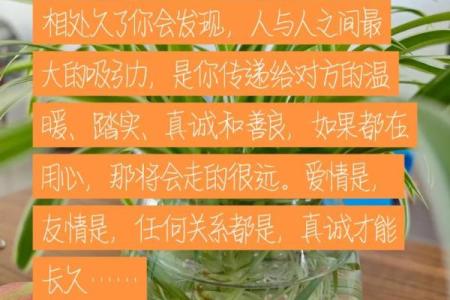 人与狗的友谊：这段关系真的是相互匹配的吗？