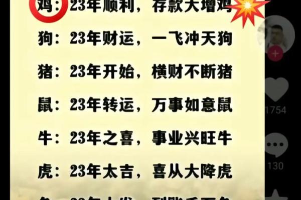 属猪男女性格与婚配相容性探讨