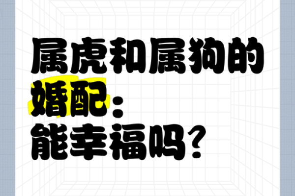 虎年出生的人婚配建议：属虎最佳配偶
