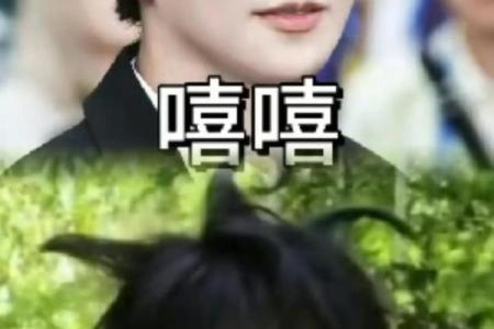 五黑名字大挑战：让你笑翻的独特命名创意