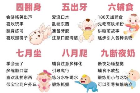 为刚出生的宝宝取名字的五个关键步骤