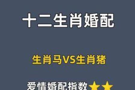 属猪婚姻配对：哪个属相能够带来长久幸福