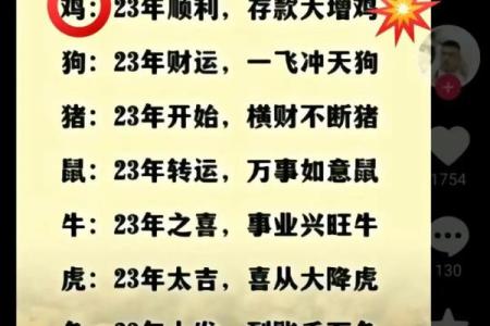 属猪男女性格与婚配相容性探讨
