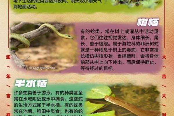 如何为蛇业公司起一个富有创意和吸引力的名字