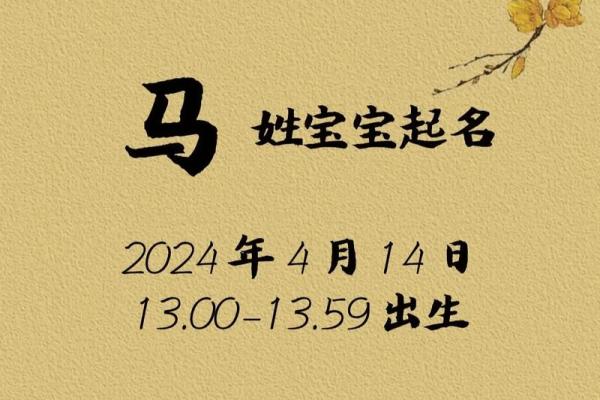 如何为你的马宝宝起个既独特又有意义的名字 如何为你的马宝宝起个既独特又有意义的名字