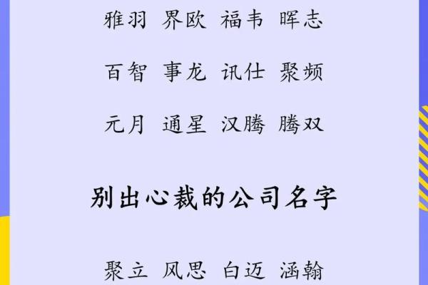 如何为杉公司起一个既独特又符合品牌定位的名字