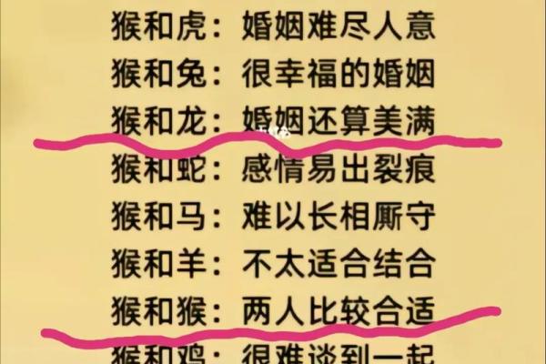 生肖婚配建议：最适合你的属相是谁
