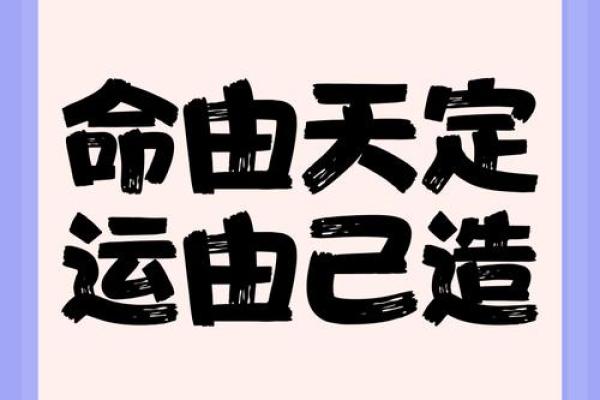命与运:天注定还是自我选择 命与运:天注定还是自我选择