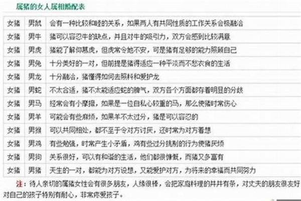 揭秘属猪婚姻中的理想伴侣：哪些属相最相配