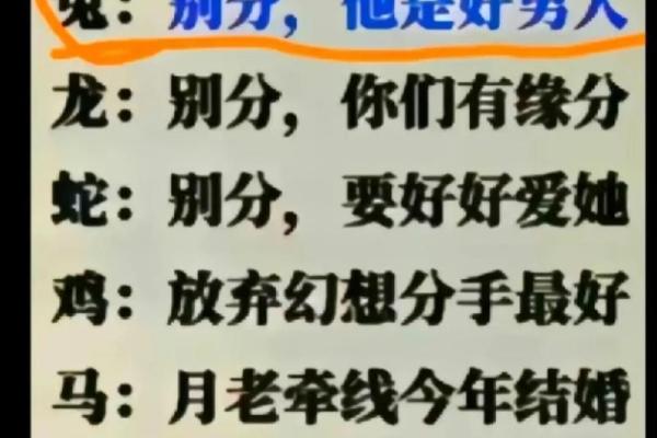候鸡相配的爱情与婚姻是否和谐