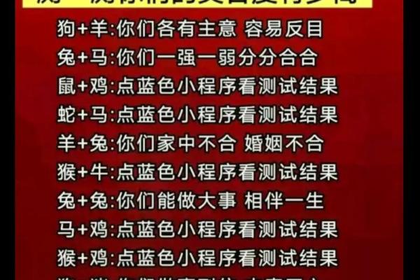 从马马相配指数看恋爱中的默契与匹配度