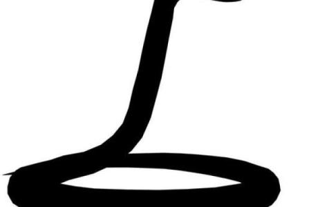 如何为蛇业公司起一个富有创意和吸引力的名字