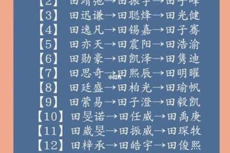 夏姓鸡年宝宝起名推荐：吉祥与寓意兼具的名字