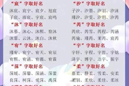如何为你的马宝宝起个既独特又有意义的名字
