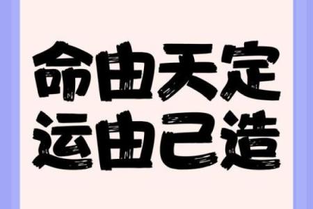 命与运：天注定还是自我选择