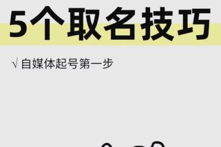 精准命名，从公司名字起名软件开始