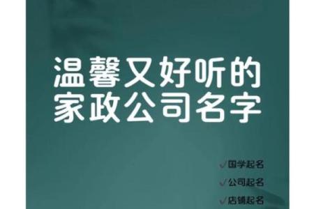 选择家政公司名字时的灵感与建议