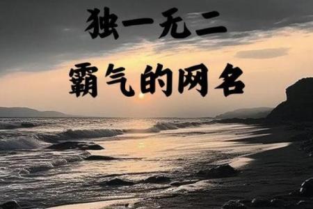 独特霸气名字 让你的存在感无可忽视