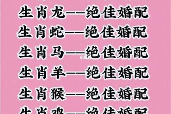 探索兔年与虎年的生肖配对之道