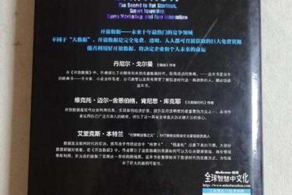 小说娱乐公司命名策略：从创意到市场定位