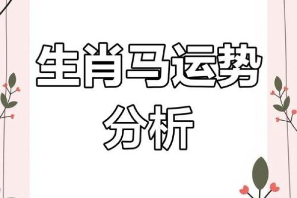 属什么生肖 生肖解析与运势分析