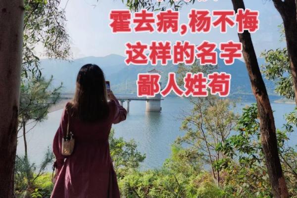 为苟姓女孩挑选寓意深远的名字