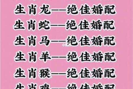 探索兔年与虎年的生肖配对之道