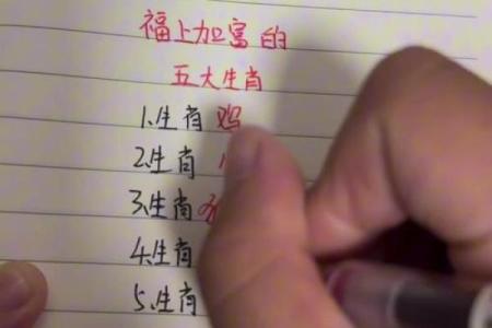 生肖速配解读：哪些生肖能成就完美关系