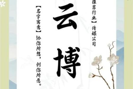 公司文学命名的艺术：如何为企业文化赋予独特的名字