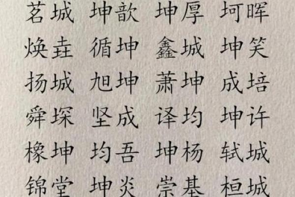 寓意深远的带米字旁男孩名字大全