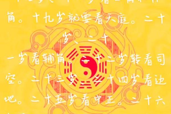 从月份看命运:一年运势全盘解析 从月份看命运:一年运势全盘解析