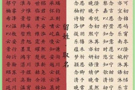 如何选择适合宝宝的名字，专家建议揭秘