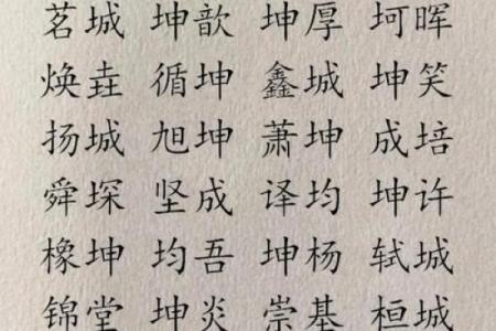 寓意深远的带米字旁男孩名字大全