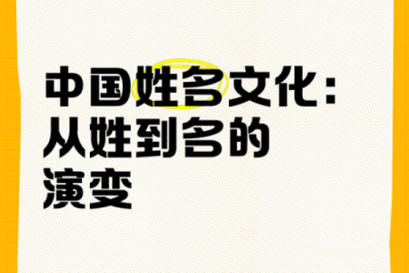 中国人姓名的文化与命名解析大全