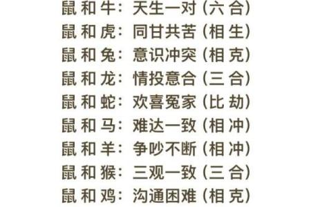 相配的属相组合揭示了婚姻幸福的秘诀