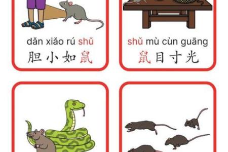 十二生肖成语背后的文化寓意与智慧解析