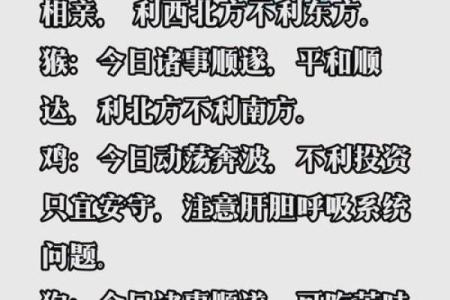 属鼠人的性格与命运详解