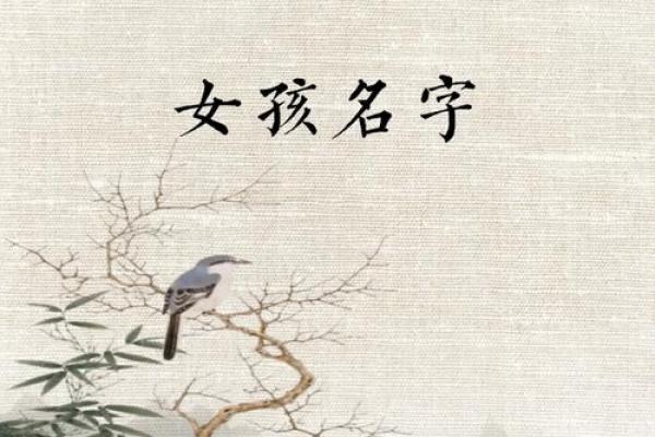 带“言”字的女孩名字，给人以优雅与智慧