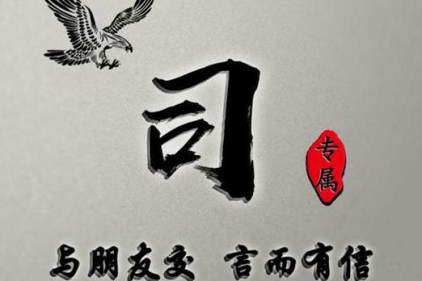 如何为姓司的男孩取一个有意义的名字