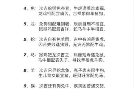 生肖解读及其特性
