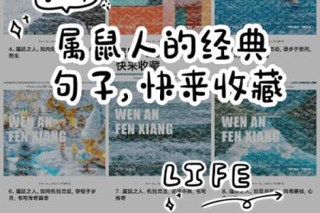 鼠年男孩命名推荐：展现智慧与活力的名字