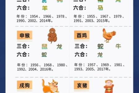 对应的生肖是什么？了解属相的解答