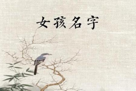 带“言”字的女孩名字，给人以优雅与智慧