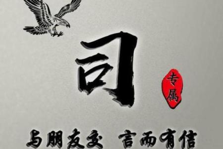 如何为姓司的男孩取一个有意义的名字