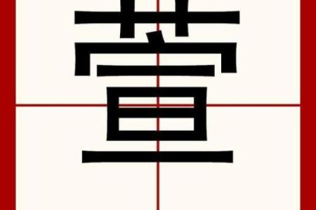 萱字在名字中的独特魅力与文化底蕴