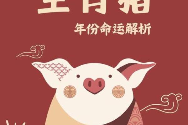 生肖猪今日运势预报：积极心态助力事业发展