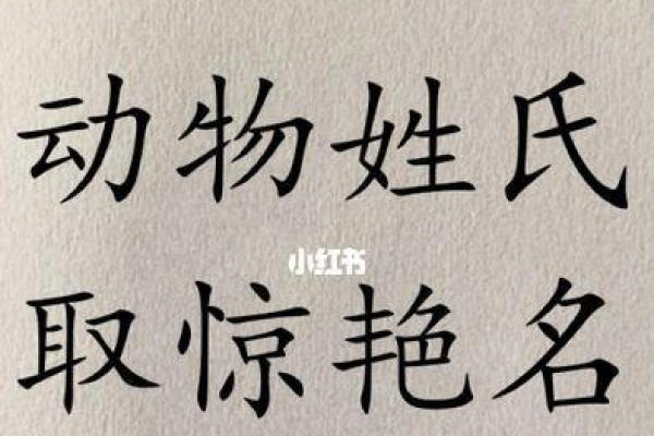 给老鼠起名字的小窍门，让你的宠物更具个性