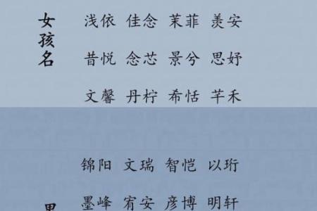 鸡年宝宝女孩名字精选 含义深远的名字大全